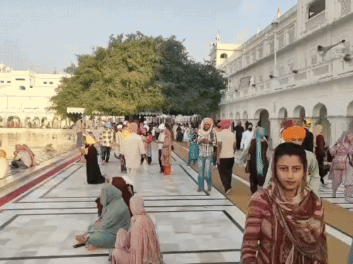 गोल्डन टेंपल में श्रद्धालु माथ टेकने के लिए पहुंच रहे हैं।