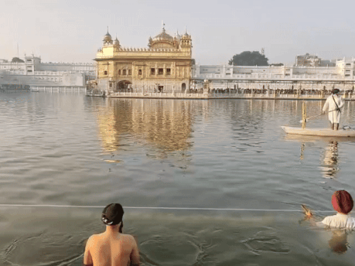 गोल्डन टेंपल के पवित्र सरोवर में श्रद्धालु स्नान करते हुए।