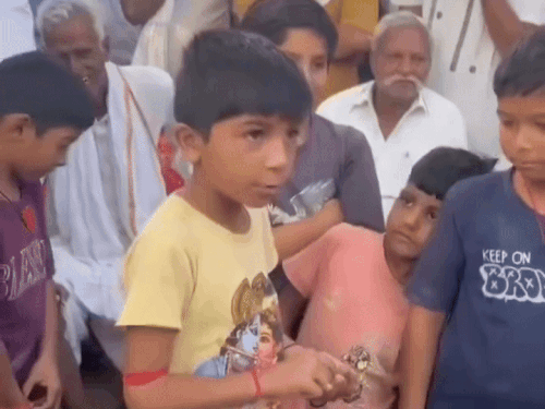 बारां के अंता विधानसभा चुनाव के माहौल में एक बच्चे का वीडियो सोशल मीडिया पर शेयर किया गया। इसमें बच्चा कांग्रेस प्रत्याशी की पोल खोल रहा है।