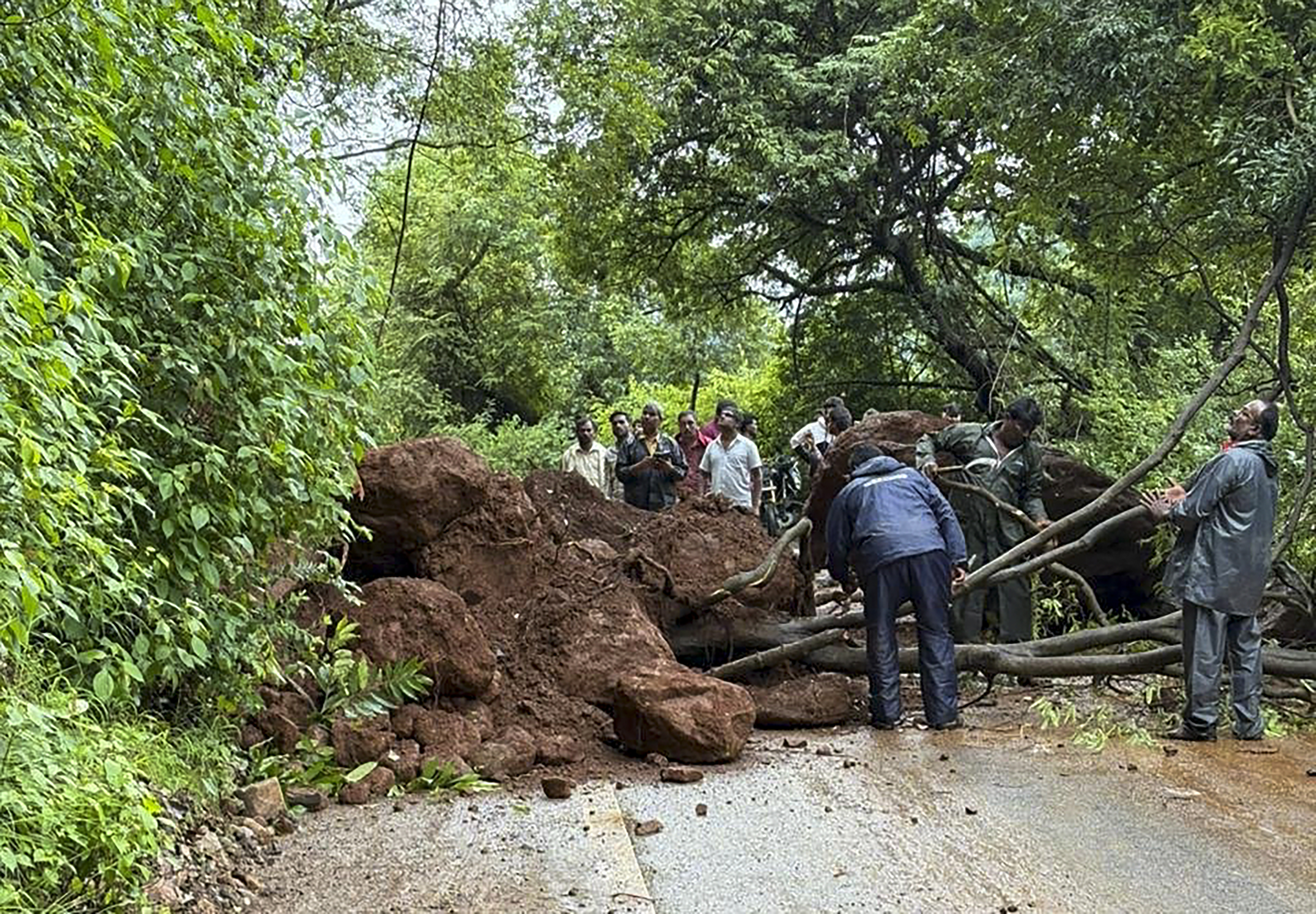 तमिलनाडु के इरोड जिले में बुधवार को रोड पर पेड़ गिरने से यातायात बाधित हुआ।