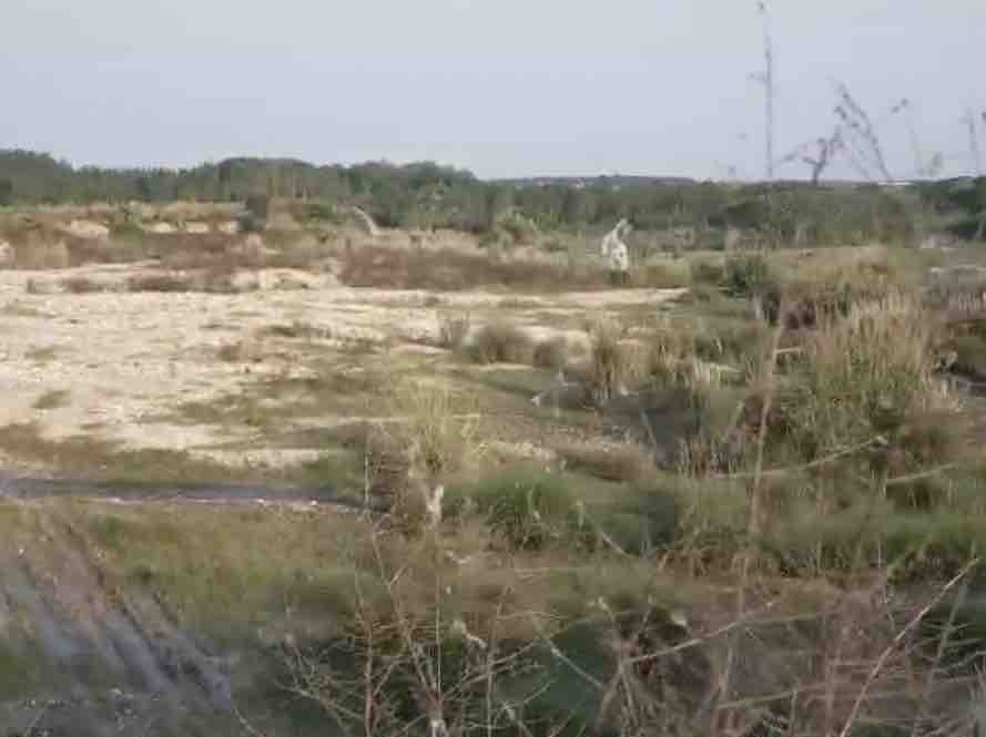 रोपड़ में 100 करोड़ के घोटाले में ईडी की कार्रवाई:  माइनिंग माफिया की करोड़ों की संपत्ति अटैच, आरोपियों के मोबाइल और लैपटॉप जब्त – Ropar (Rupnagar) News