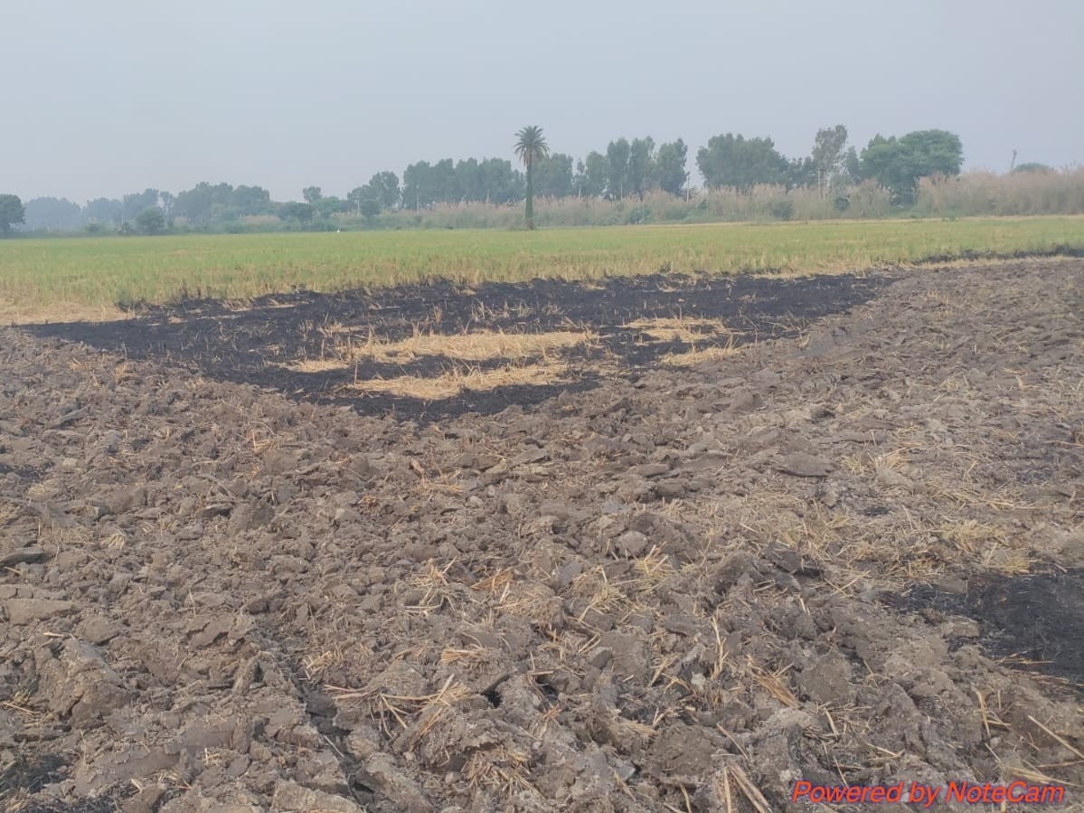 नारनौंद में पराली जलाने को लेकर किसान पर FIR:  5 हजार का लगाया जुर्माना; 2 साल तक MSP पर नहीं बिकेगी फसल – Narnaund News