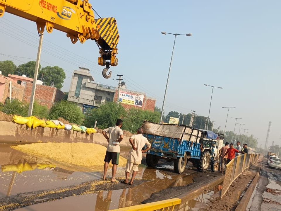 सड़क पर बिखरी धान की फसल।
