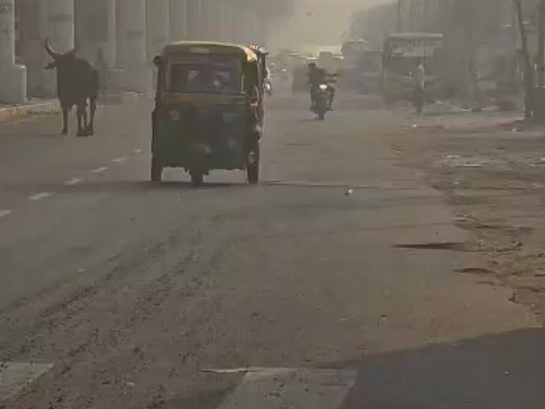 बहादुरगढ़ के दिल्ली रोड से गुजरते वाहन। यहां पर धुंध की तरह प्रदूषण छाया हुआ है।