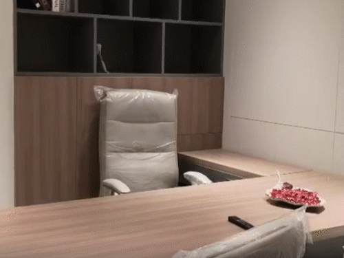 फ्लैट्स में विधायकों के लिए ऑफिस भी बनाया गया है।