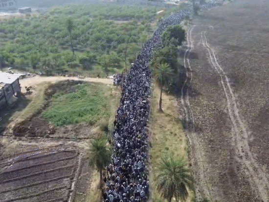 पिछले साल पहुंचे थे दस लाख से अधिक लोग।