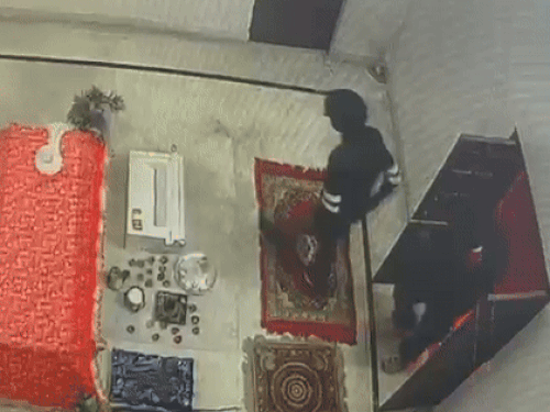 जयसिंहपुरा के मंदिर में गल्ला तोड़ने का प्रयास करते हुए चोर।