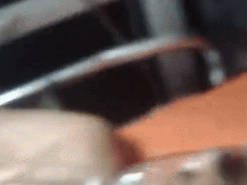 गुरुग्राम में युवक को मारी गोली:  जनवरी में चचेरे भाई की हत्या हो चुकी, उन्हीं पर हमले का आरोप, एक अरेस्ट – gurugram News