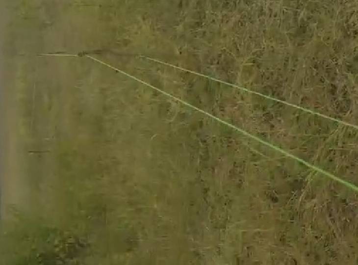 फॉर्म हाउस की जमीन जहां से जानवरों के शवों को निकाला गया।