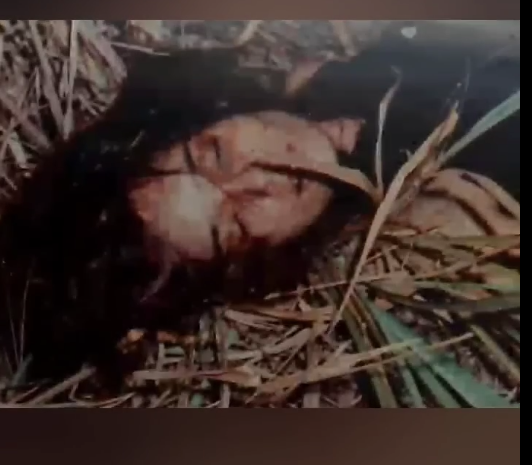 Daniela's dead body lying in the bushes.