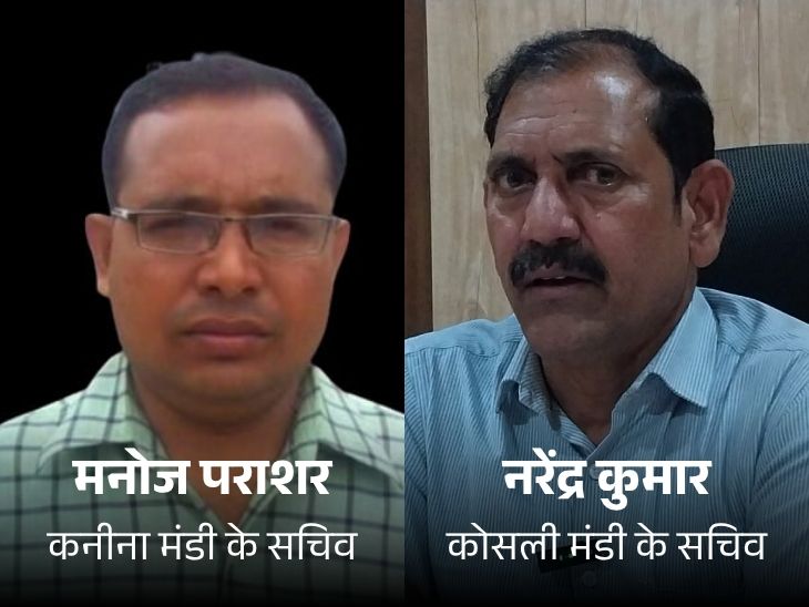 हरियाणा की मंडियों में घोटाले की इनसाइड स्टोरी:  करनाल में जितना धान, पोर्टल पर उससे दोगुनी एंट्री; महेंद्रगढ़-रेवाड़ी में बिना फसल भावांतर दिया – Narnaul News