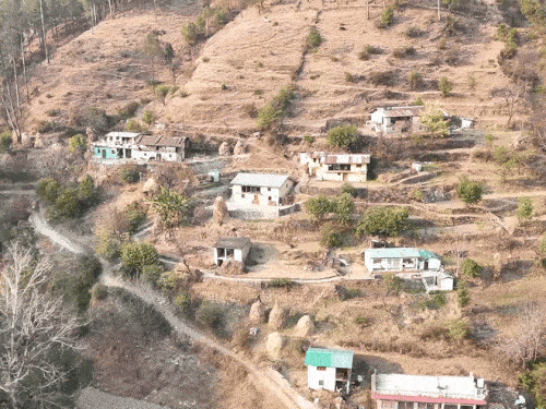 पहाड़ी क्षेत्रों में पलायन के कारण भी कृषि कम हुई है।