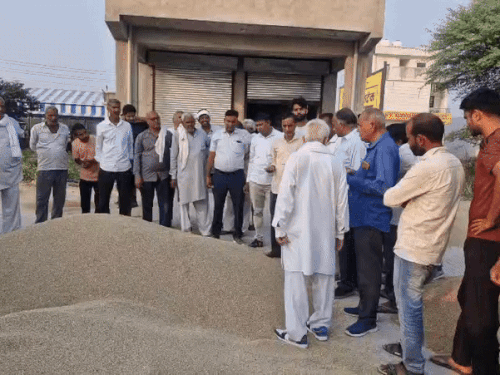 हरियाणा में एमएसपी पर नहीं बिक रहा बाजरा:  भावांतर भरपाई के बाद भी नहीं मिलेगा लाभ, किसानों में सरकार के प्रति नाराजगी – Narnaul News