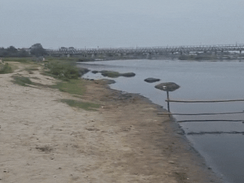 नगर निगम ने यमुना आरती स्थल पर पूजा-अर्चना की व्यवस्था की है।