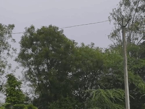 चित्तौड़गढ़ में रविवार देर रात से बूंदाबांदी शुरू हुई, जो सोमवार सुबह तक जारी रही।