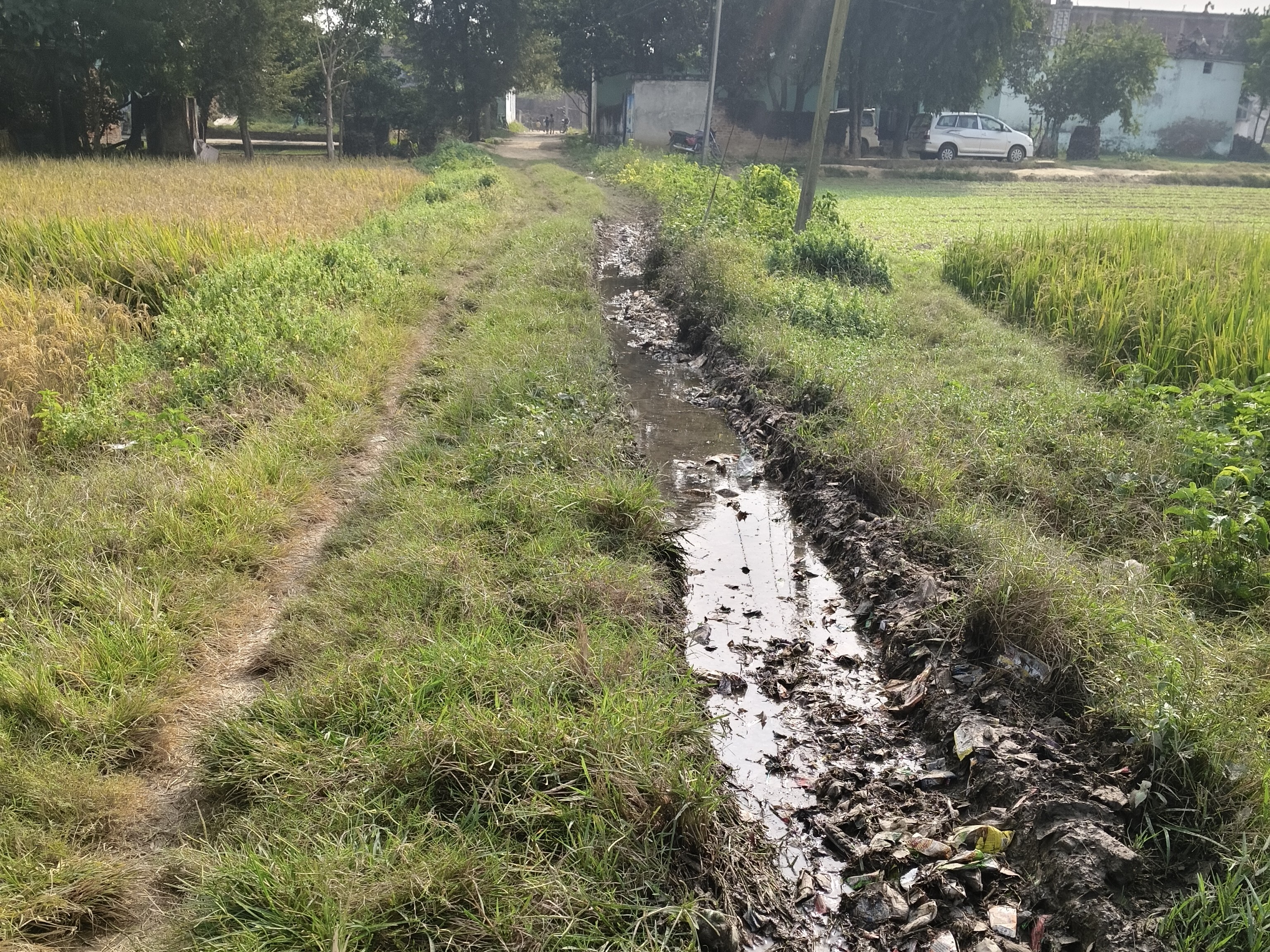 सड़क मार्ग पर जलभराव। - Dainik Bhaskar