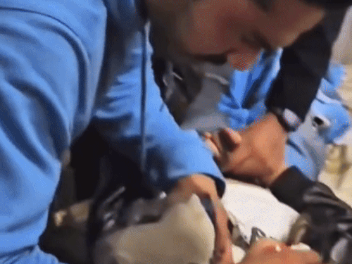 जब प्रिया खरी को खून निकला से दिलेर खरकिया के भाई कहर ने उसका चेहरा साफ किया।