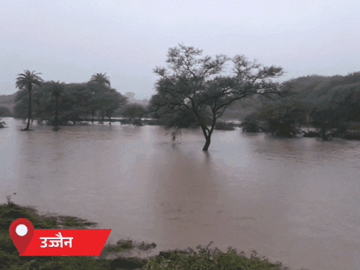 उज्जैन के बड़नगर में खेतों में बारिश का पानी भरा है।