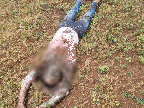 Narsinghpur woman kills brother-in-law using plot inspired by crime reels Hired contract killers for ₹50,000; police arrest all 3 accused - Madhya Pradesh News | Bhaskar English