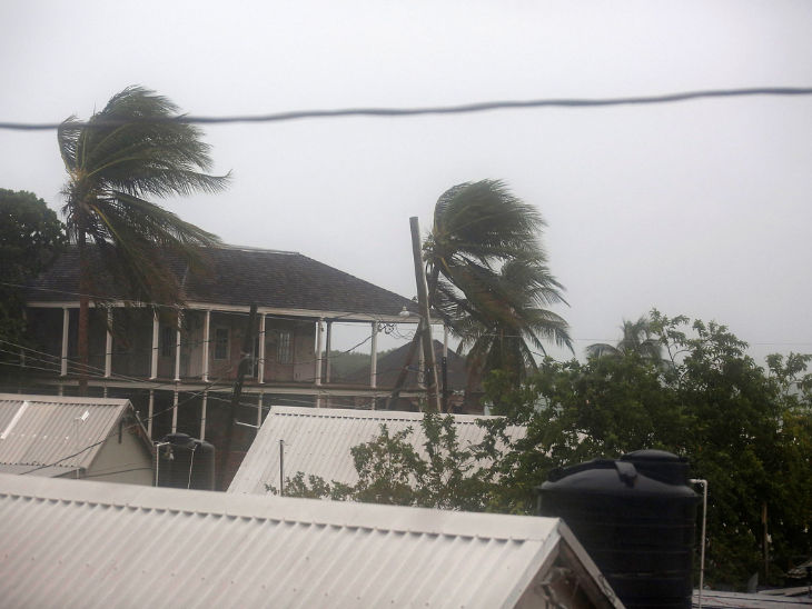 हरिकेन मेलिसा की वजह से वजह से जमैका में तेज हवा चल रही है। यहां पोर्ट रॉयल में ताड़ के पेड़ हवा में लहरा रहे हैं।