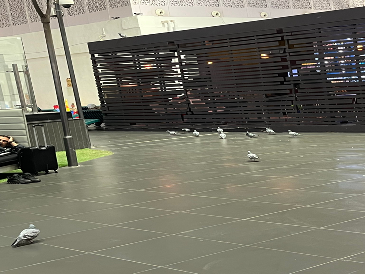 श्री गुरु रामदास जी इंटरनेशनल एयरपोर्ट