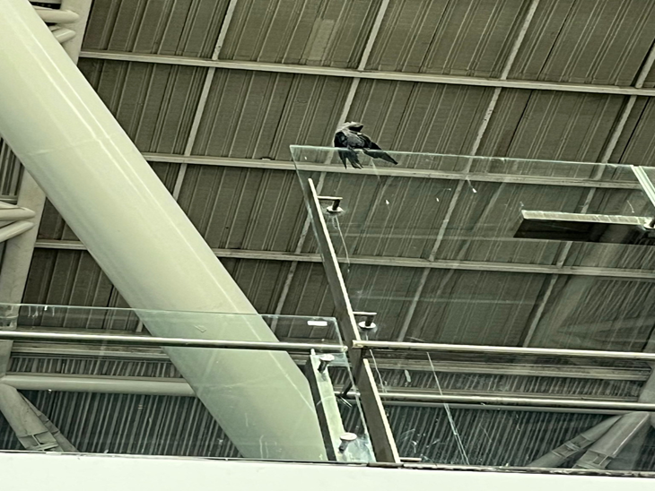 श्री गुरु रामदास जी इंटरनेशनल एयरपोर्ट