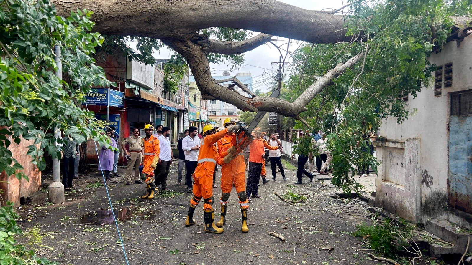 विशाखापट्टनम में बुधवार सुबह राहत कार्य में जुटी एनडीआरआफ की टीम। कई इलाकों में पेड़ उखड़े गए। NDRF की टीमों ने इन्हें काटकर हटाया।