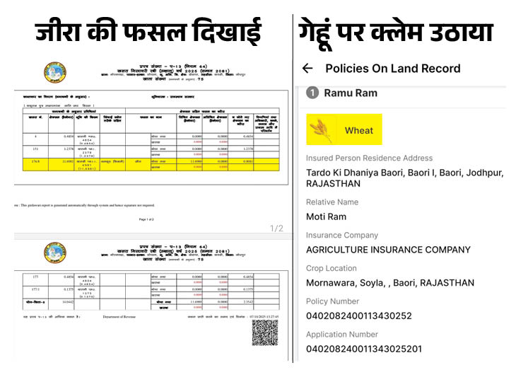 रामूराम को बाबूराम ने अपने खेत का बंटाईदार बना रखा है। बाबूराम ने अपने खेत की गिरदावरी रिपोर्ट में फसल जीरा बताई थी, लेकिन रामू राम ने गेहूं की फसल का क्लेम लिया है।