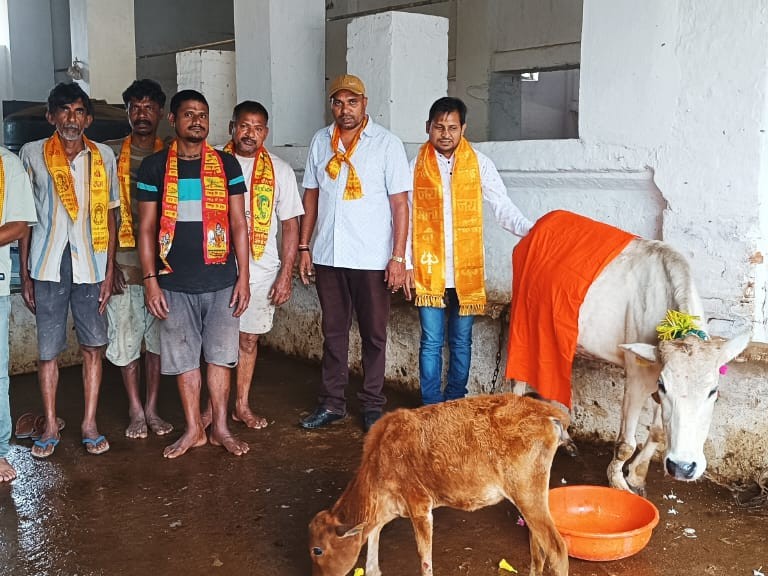 Cow devotees celebrated the grand festival of Gopashtami in Rajnandgaon. | राजनांदगांव में गौ भक्तों ने मनाया गोपाष्टमी महापर्व: बाल रत्न मंच सेवा समिति ने किया गौ माता का पूजन - Rajnandgaon News 1 a5da8154 d7bc 42f3 a9b0 6745ea1e6a73 1761740208471