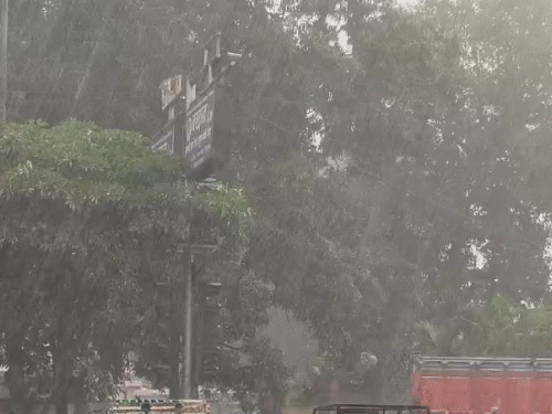 सरगुजा संभाग के क्षेत्रों में बुधवार सुबह से बारिश हो रही है।