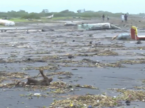यह फुटेज आंध्र प्रदेश के काकीनाड़ा की है। मोन्था तूफान के गुजर जाने के बाद बुधवार को चारों तरफ तबाही दिखी।