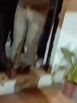 टीम ने जब दरोगा धनंजय सिंह ने पकड़ा, तो वह खुद को निर्दोष बताते रहे।