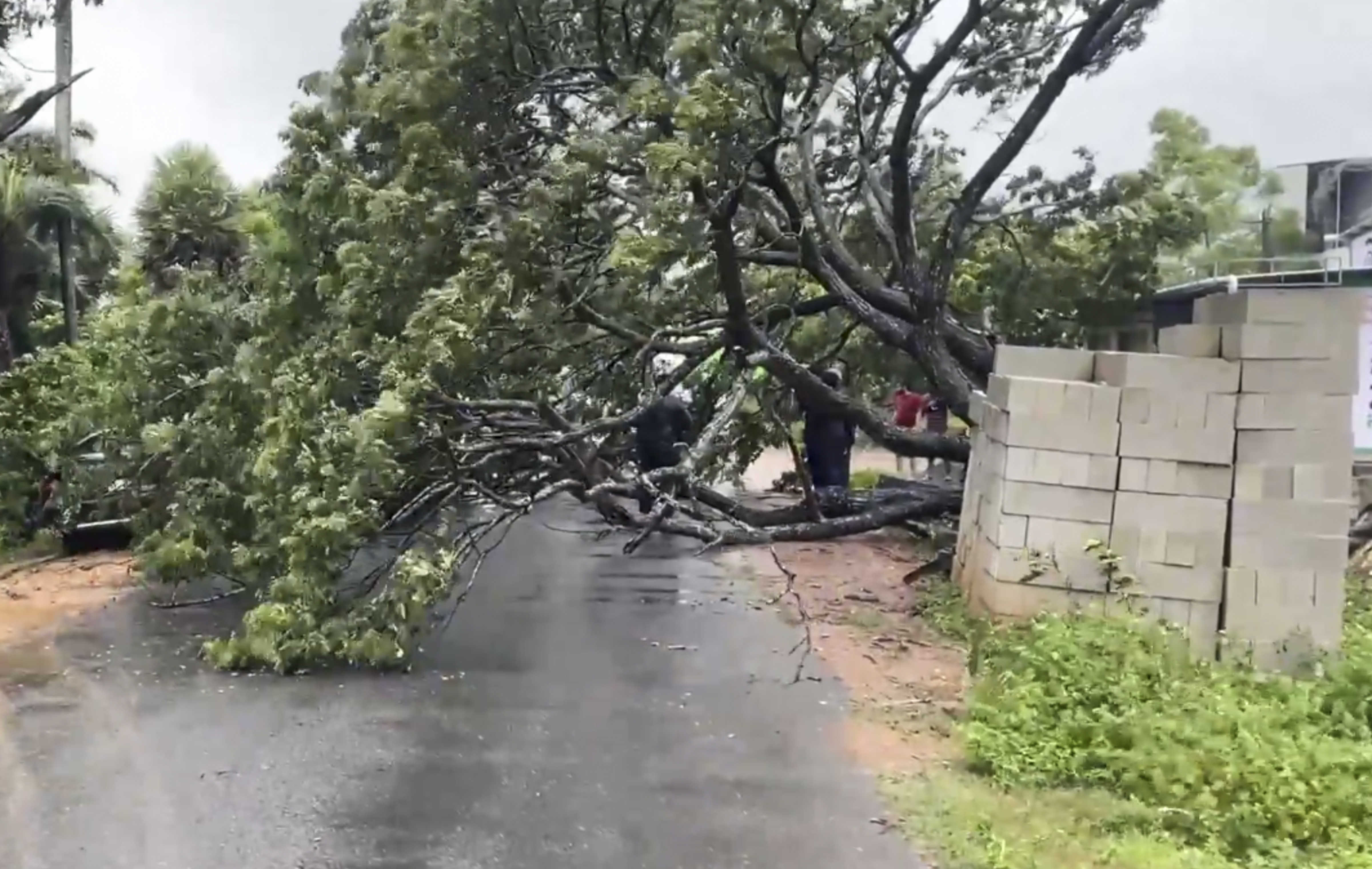 मंगलवार दोपहर मछलीपट्टनम में 50-60 किलोमीटर प्रति घंटे की रफ्तार से हवाएं चल रही थीं।