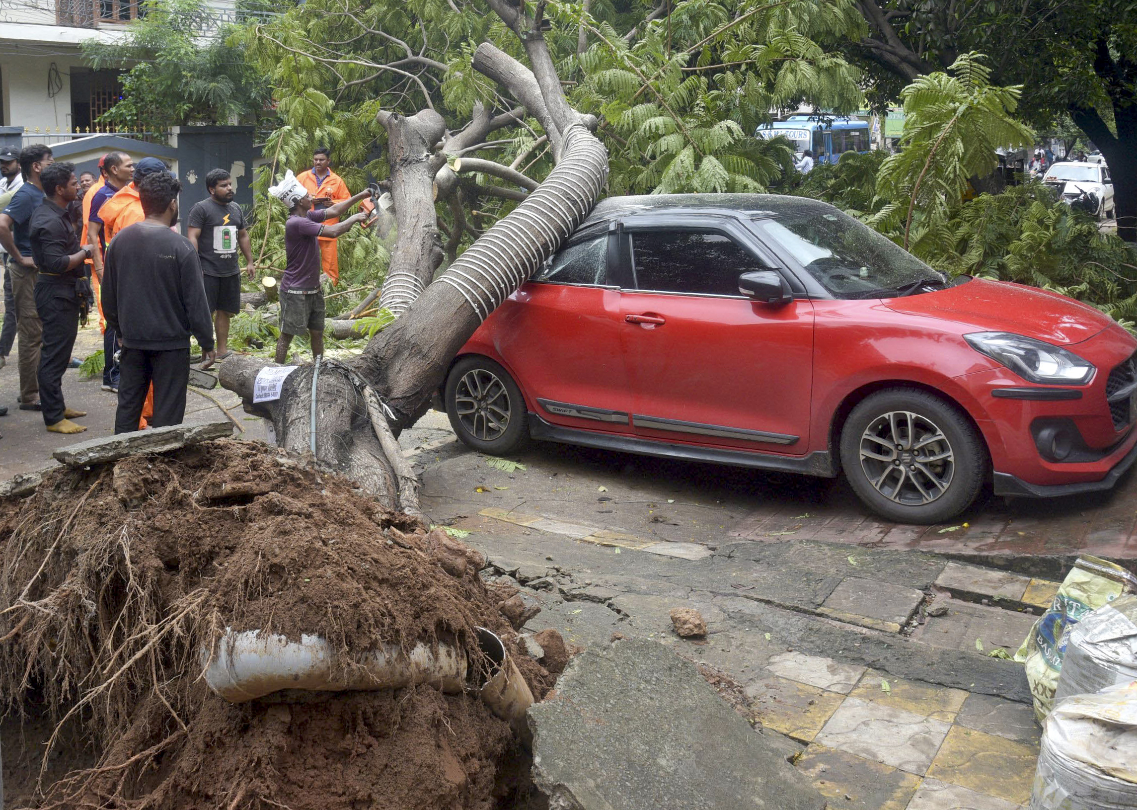 आंध्र प्रदेश: विशाखापत्तनम में तेज तूफान के कारण एक पेड़ कार पर गिर गया।