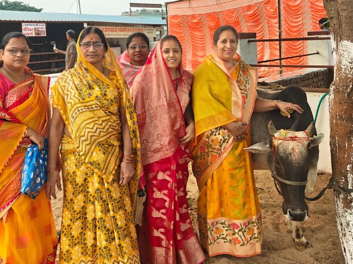 Napasar Cow devotees celebrated Gopashtami festival in Napasar. | नापासर में ...