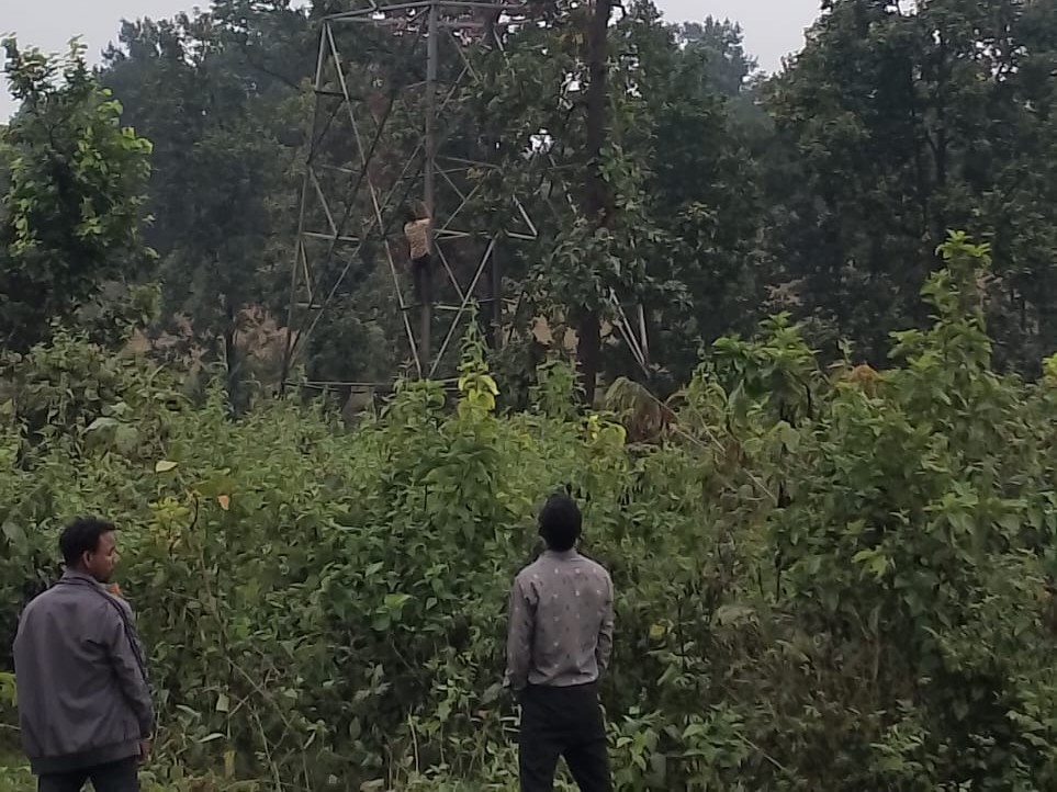 युवक 33 हजार वोल्ट के बिजली टावर पर चढ़ा:  एक घंटे की मशक्कत के बाद सुरक्षित नीचे उतारा गया, नशे में था धुत – Giridih News