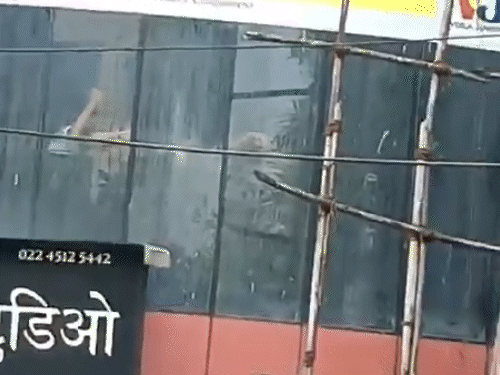 Mumbai RA Studio Child Hostage Case; Rohit Arya | Mumbai Police | मुंबई में 17 बच्चों को बंधक बनाने वाले का एनकाउंटर: इलाज के दौरान मौत; स्टूडियो में बच्चों को ऑडिशन के