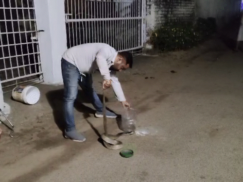 स्नैक कैचर ने सांप को डिब्बे में भरा।