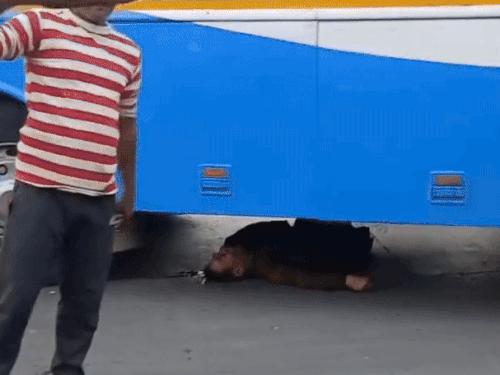 उत्तराखंड में चंडीगढ़ की बस ने व्यक्ति को कुचला, मौत:  पैदल रोड क्रॉस कर रहा था, अचानक साइड से आकर टक्कर मारी – Dehradun News
