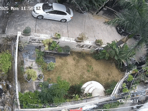 घर में घुसकर चोरी करता बदमाश, एक युवक बाहर से रेकी कर रहा है