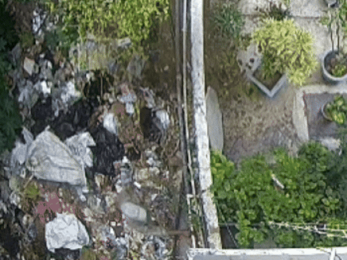 एक बदमाश मकान के अंदर घुस गया और दूसरा बाहर से साथ दे रहा था