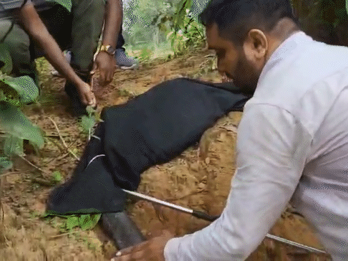 थैले में भरकर जंगल में छोड़ा गया।