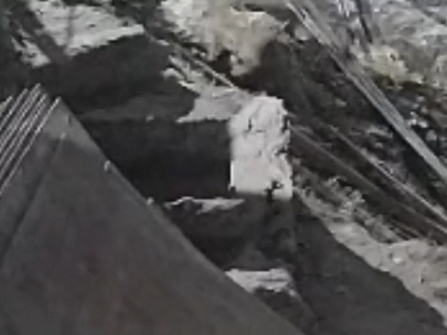 संजौली के चलोंठी में निर्माणाधीन मकान से सड़क की तरफ भागते हुए तेंदुआ।