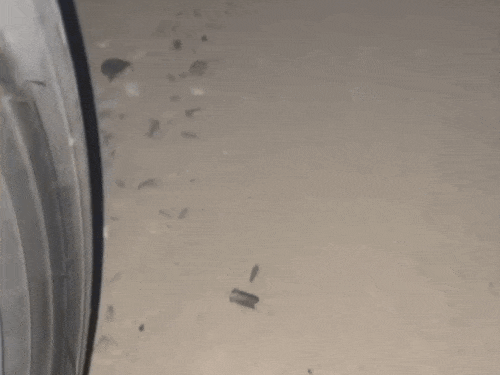 मौके पर मिली चली गोली का खोल मिला है।