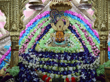 आज खाटूश्यामजी का वृंदावन और बंगाल के फूलों से श्रृंगार किया गया है। संध्या आरती पर बाबा को छप्पन भोग लगेगा।