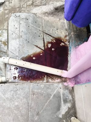 पड़ोसियों को घर के बाहर खून बहता दिखा था। इसके बाद पुलिस को सूचना दी गई।