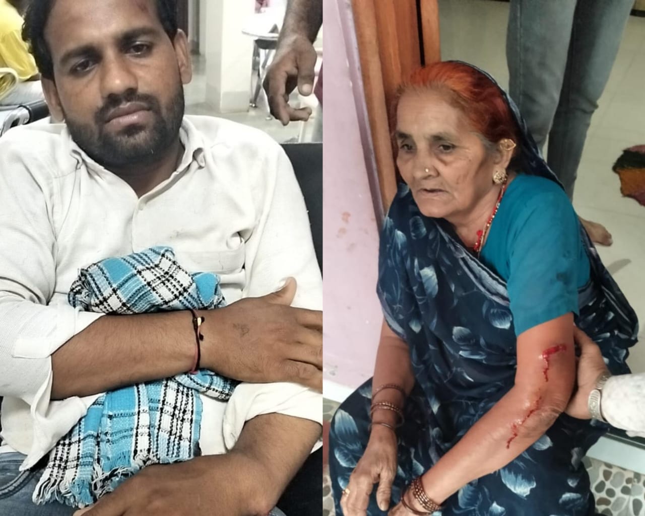 लंगूर ने 30 अक्टूबर की शाम 4 बजे बालवीर पिता लाल सिंह को उसके घर के छत पर से धक्का देकर फेंक दिया। जिससे उसकी हाथ की हड्डी टूट गई और एक बुढ़िया मां और अन्य लोगों पर भी हमला किया।