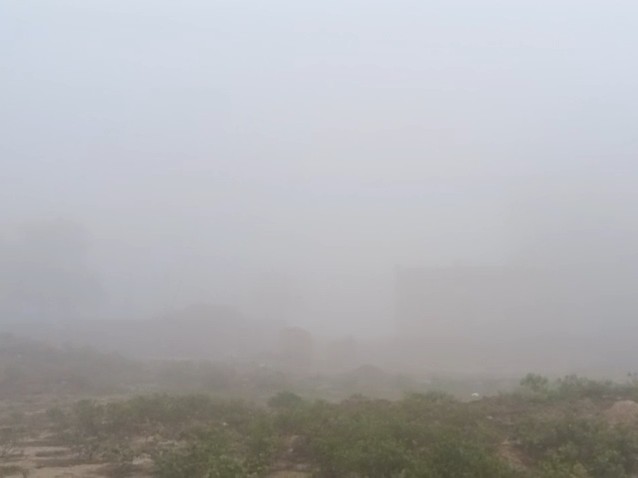 घना कोहरा छाया। - Dainik Bhaskar