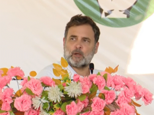 Rahul Gandhi Bihar Rally Speech LIVE Update; Begusarai Khagaria | RJD  Congress Candidates | बेगूसराय में तालाब में कूदे राहुल गांधी, मछली पकड़ने  लगे: बोले- दिल्ली से बिहार सरकार चल ...