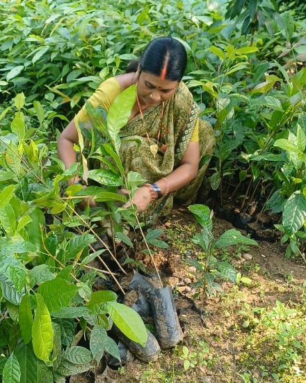 नीलम देवी मैट्रिक पास हैं और वर्तमान में लगभग 2 एकड़ जमीन पर खेती कर रही हैं।